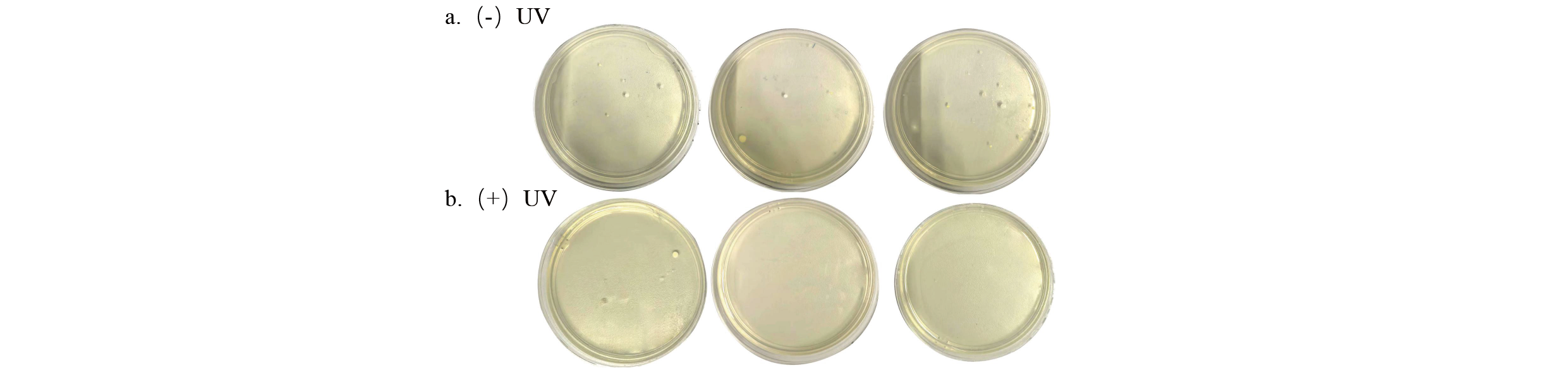 تطبيق التخصيص والتكنولوجيا في الهواء الطلق-C-CHED-C-CHED-AIR (2) -32