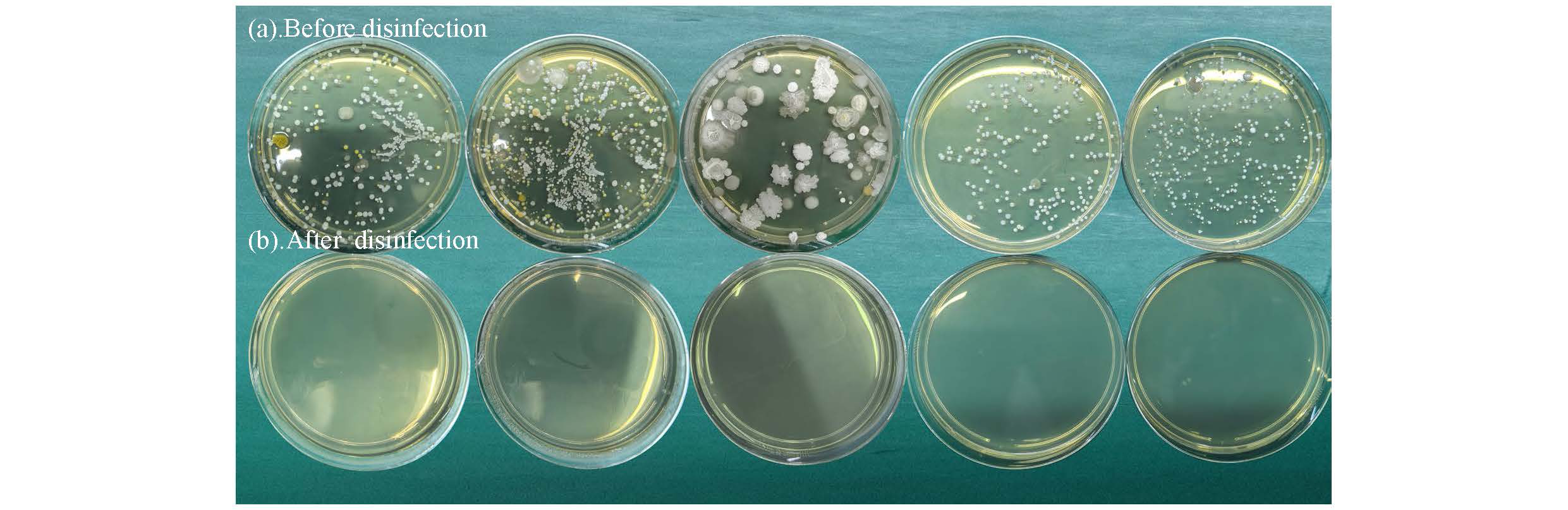 تطبيق-OF-UVC-Technology-in-surface-disinfection-cabinets-for-small-medicals (3) _ 页面 _4_02