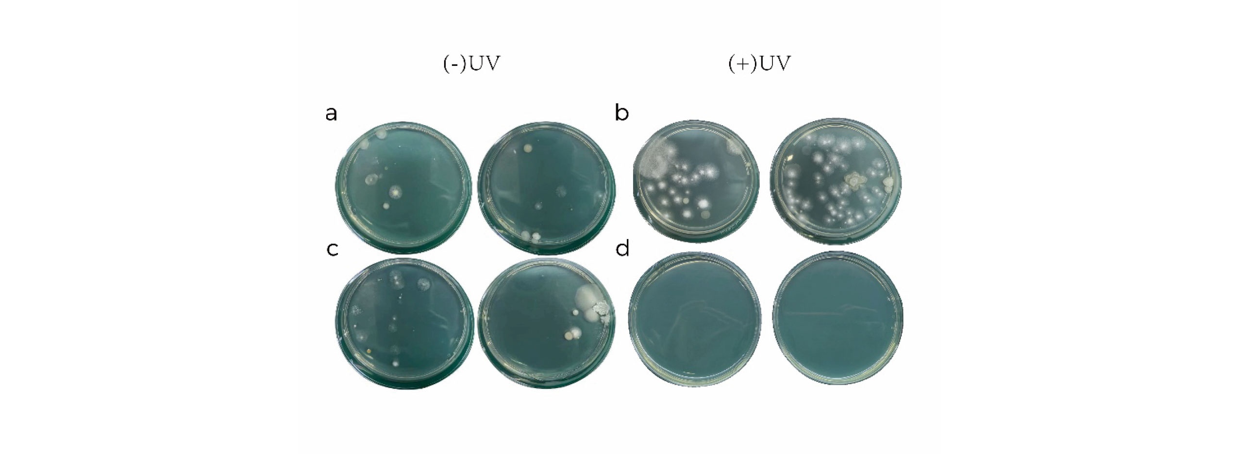 أهداف2025-108(1)-5