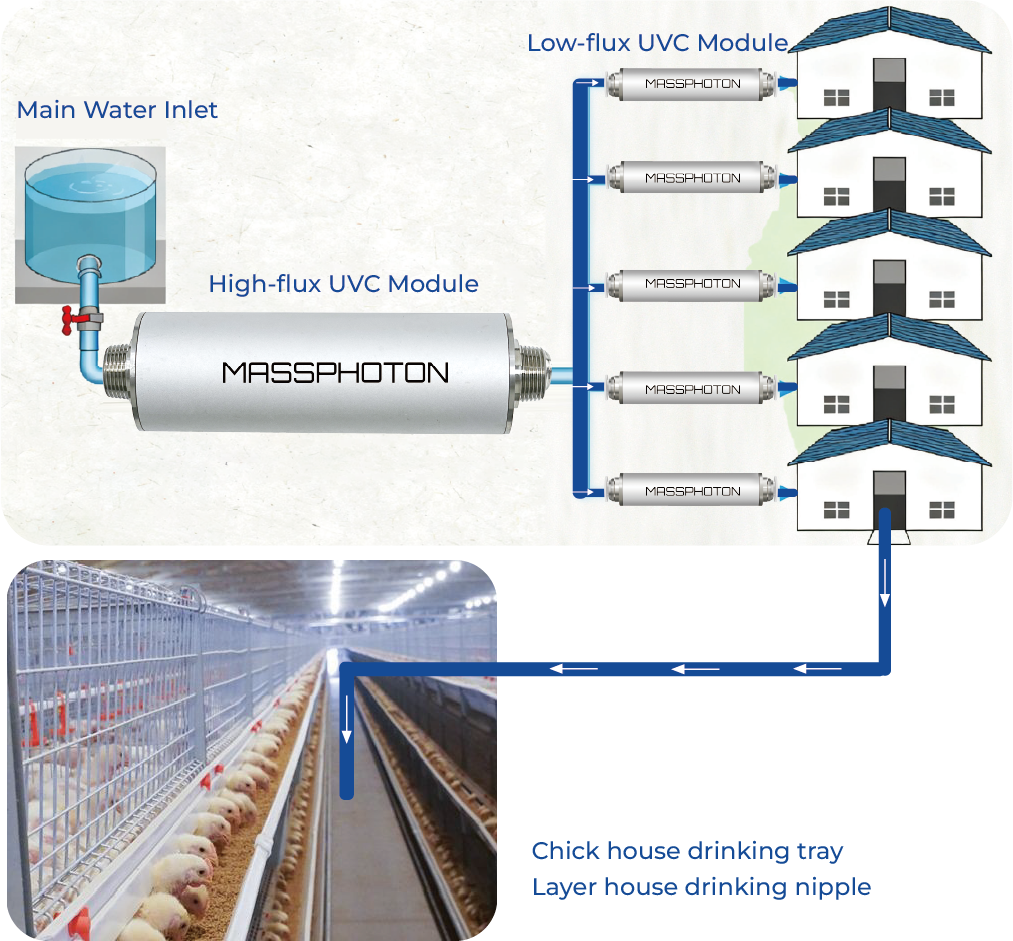 نظام معالجة مياه تربية الدواجن