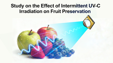 Study-on-the-Effect-of-Intermittent-UV-C-Irradiation-on-Fruit.jpg