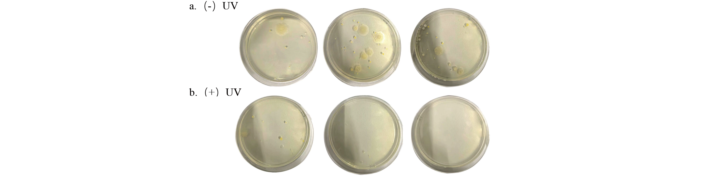 تطبيق التقنية في التقنية في AUV-C-CHED-AR-AIR-STERILIZER-REMOVAL (2) -3