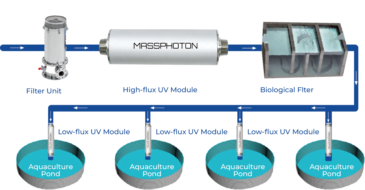 أنظمة معالجة المياه بالأشعة فوق البنفسجية لتربية الأحياء المائية